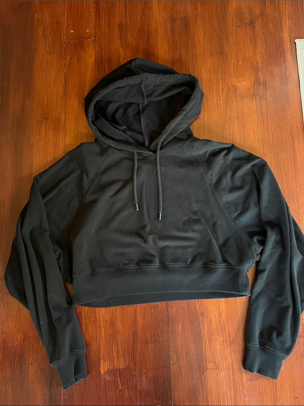 Alo Cropped Hoodie